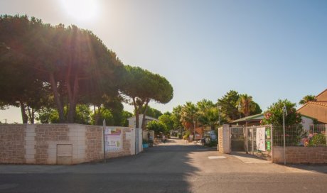 Ouverture du Camping les Jardins d'Agathe le 29 AVRIL!