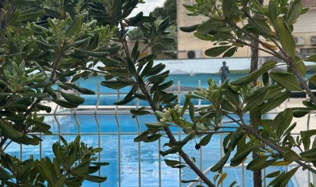 Piscine du Camping les Jardins d'Agathe Cap d'Agde ouverte dès ce lundi 29 avril!