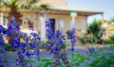 Nouveautés en cours au Camping les Jardins d'Agathe! Cap d'Agde